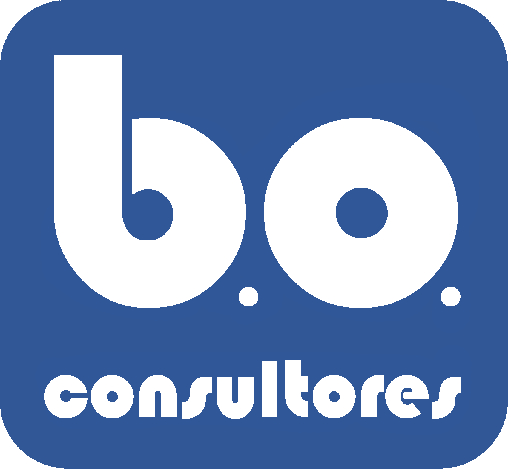 bo consultores